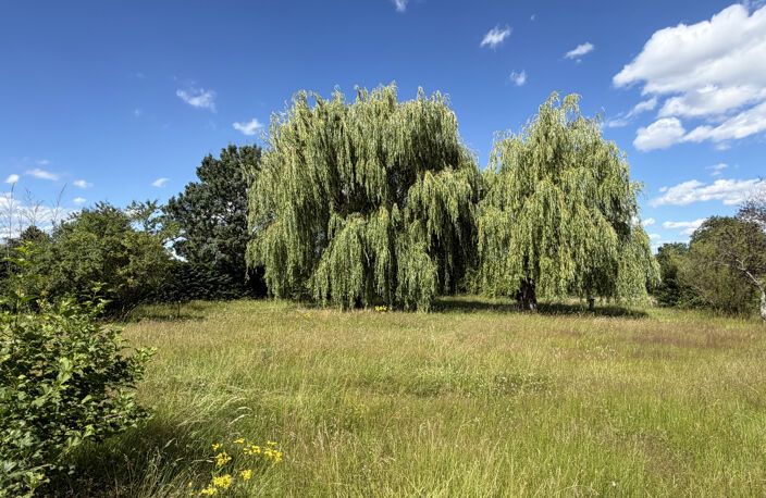Très beau terrain plat de 578 m2 dans un environnement calme — photo 5