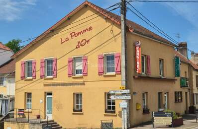 Grande Maison bord de Saône 10 pièce(s) 550 m2  avec terrasse et Parking — photo du bien