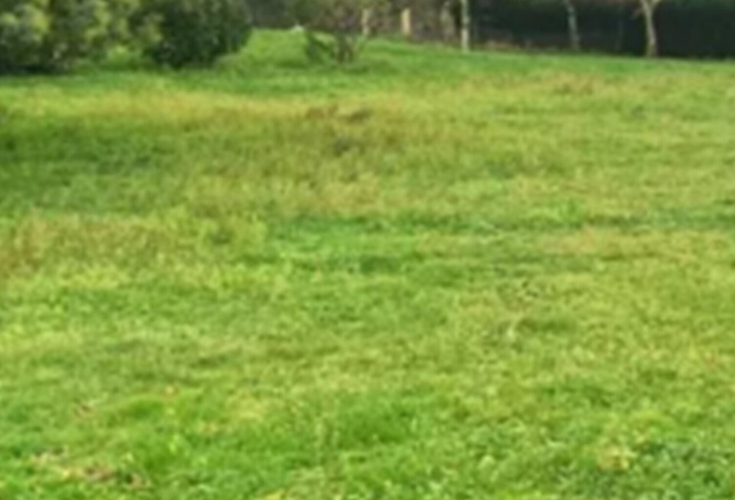 Terrain à bâtir à Saint-Genès-de-Fronsac (33240) — photo 1