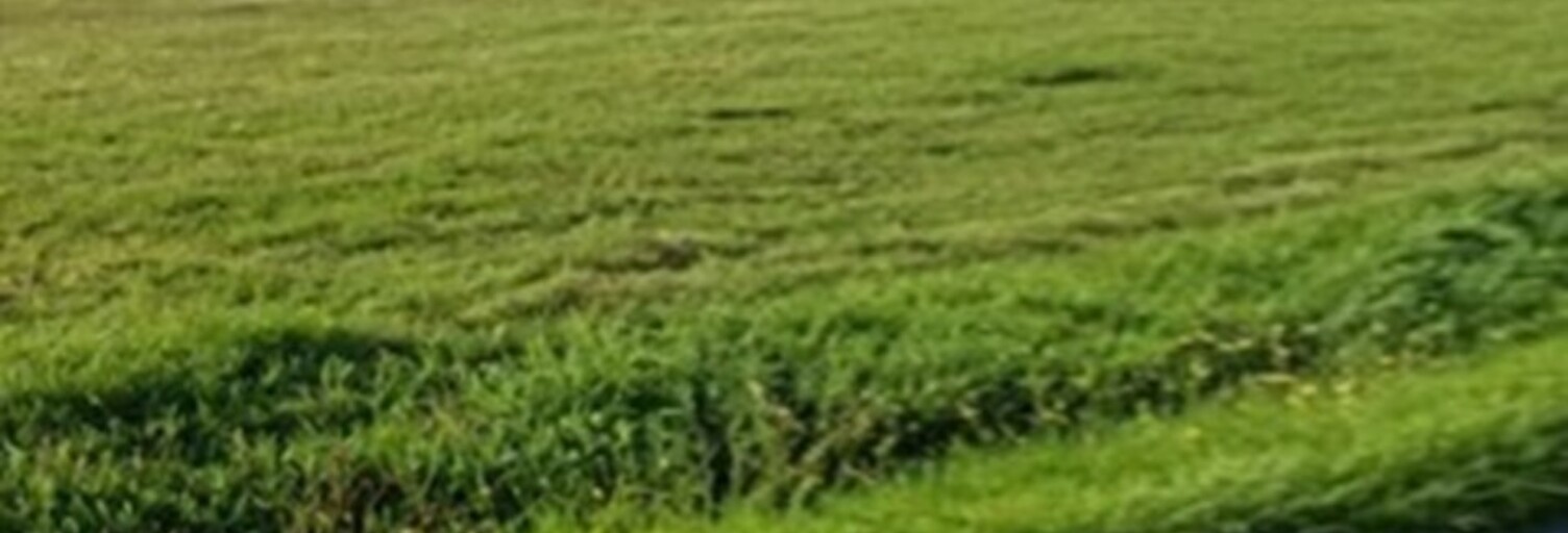 Terrain  453 m² à vendre à La Lande-de-Fronsac (33240)