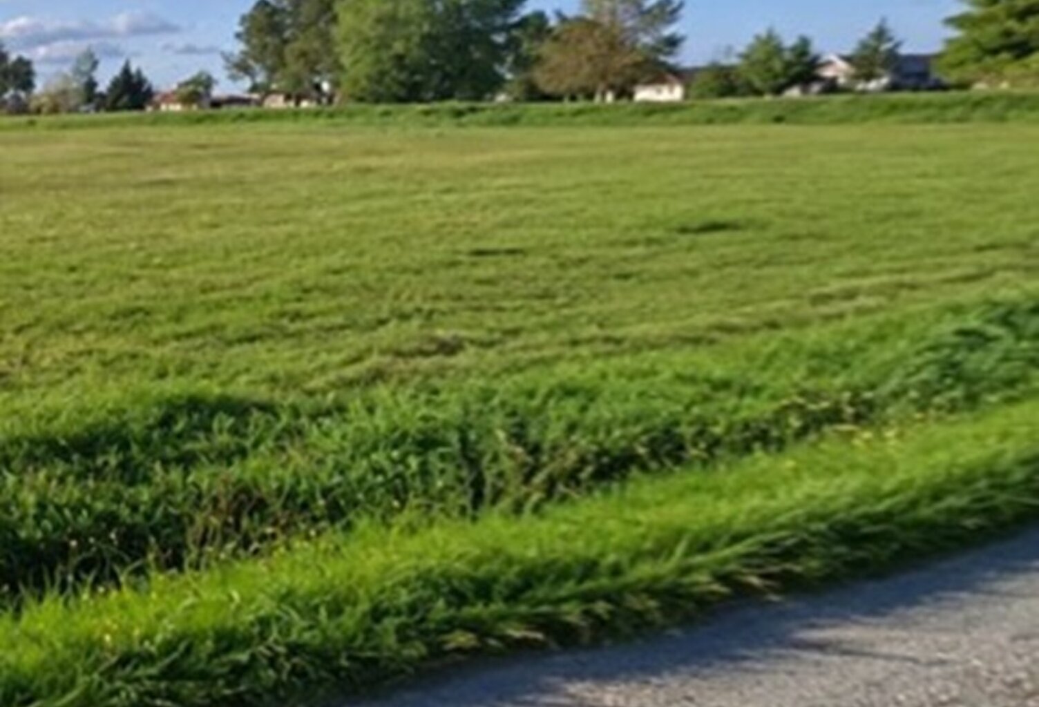 Terrain à bâtir à La Lande-de-Fronsac (33240) — photo 1