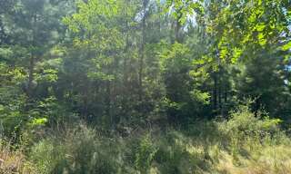 Terrain  44600 m² à vendre à Rion-des-Landes (40370)