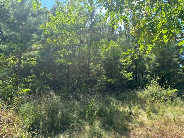 Terrain à vendre de 44600,00 m²  RION DES LANDES (40) — photo 1
