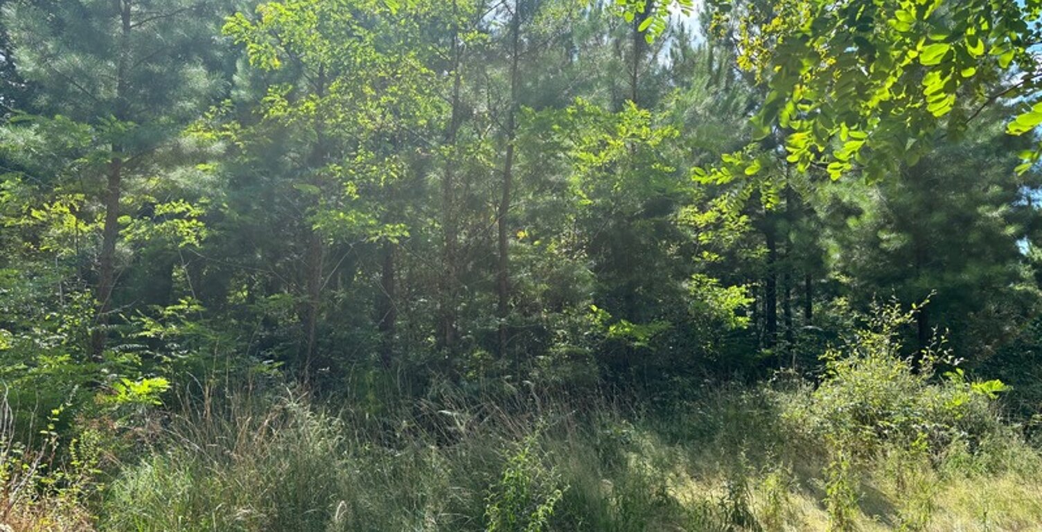 Terrain à vendre de 44600,00 m²  RION DES LANDES (40) — photo 1