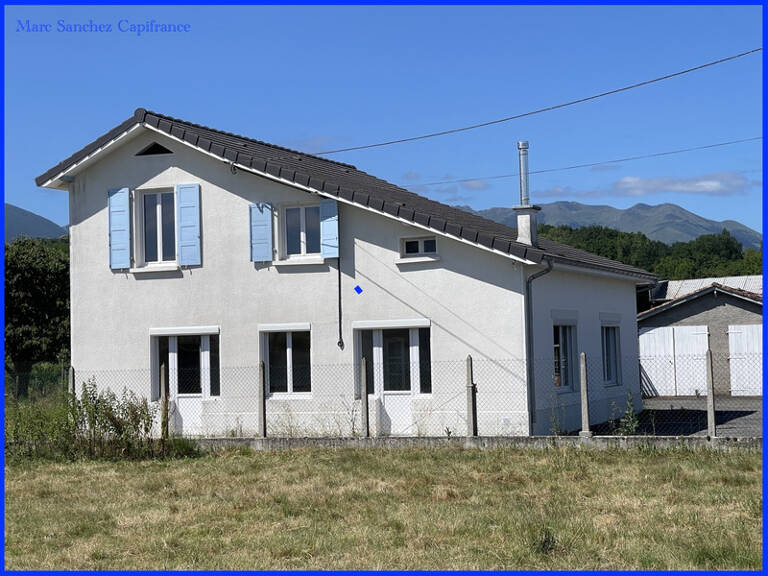 Nay (64) Maison à vendre 8 pièces 158 m2 avec 2 garages + Ateliers et dependances sur 5668 m2 de terrain — photo 1