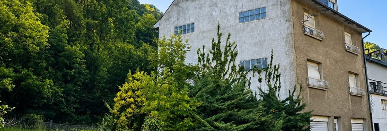 Maison 8 Pièces 168 m² à vendre à Sarrancolin (65410)