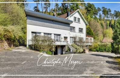 Gîte à vendre 9 chambre à ABRESCHVILLER (57), avec piscine, spa et jacuzzi — photo du bien