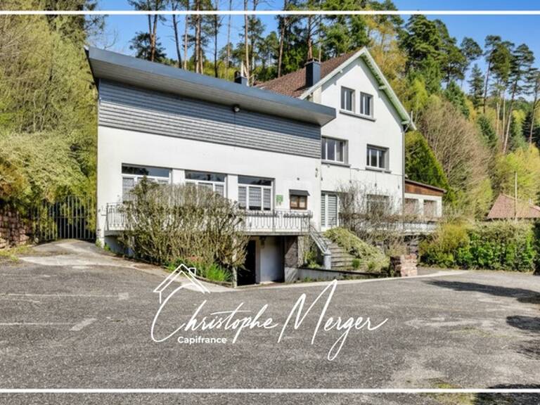 Gîte à vendre 9 chambre à ABRESCHVILLER (57), avec piscine, spa et jacuzzi — photo 1