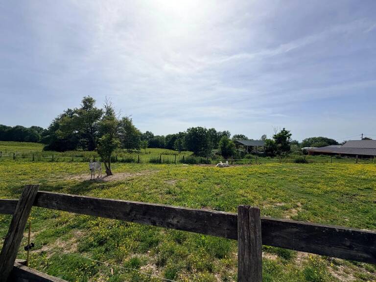 Propriété de caractère – 299 m² — photo 1