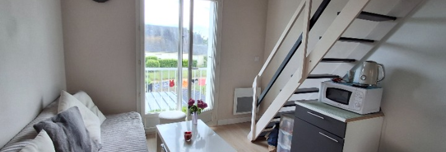 Appartement 2 Pièces 23 m² à vendre à Joué-lès-Tours (37300)