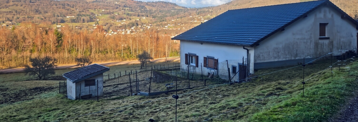 Photo N° 2