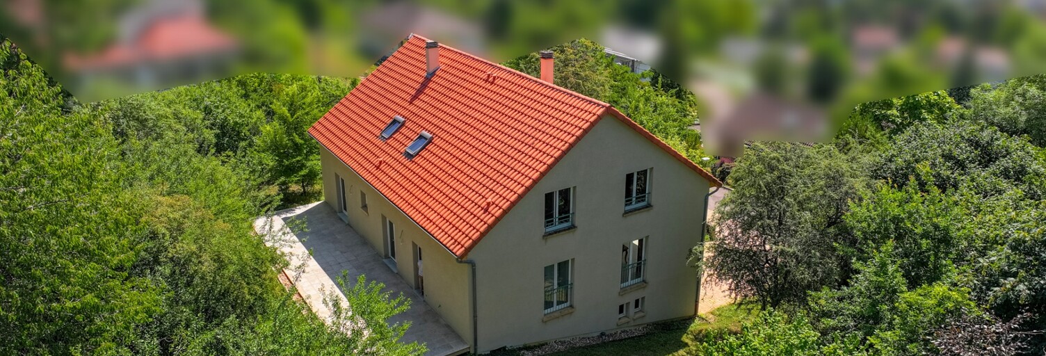 Maison 9 Pièces 295 m² à vendre à Scy-Chazelles (57160)