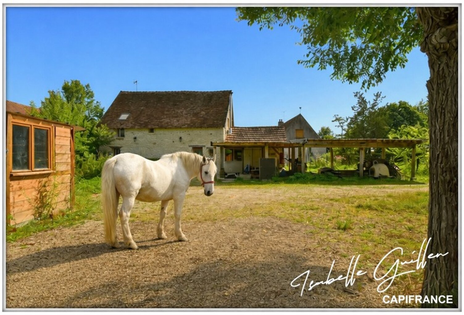 Propriété à vendre à Touchay : 2 maisons avec 4.5 hectares TOUCHAY (18) — photo 1