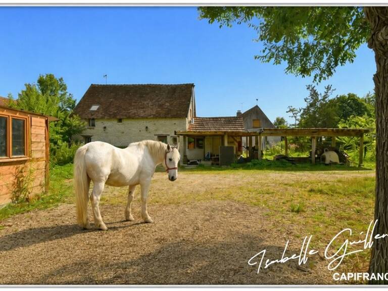 Propriété à vendre à Touchay : 2 maisons avec 4.5 hectares TOUCHAY (18) — photo 1