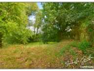 Propriété à vendre à Touchay : 2 maisons avec 4.5 hectares TOUCHAY (18) — photo 4