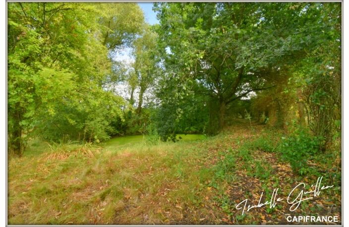 Propriété à vendre à Touchay : 2 maisons avec 4.5 hectares TOUCHAY (18) — photo 4