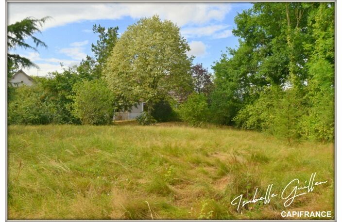 Propriété à vendre à Touchay : 2 maisons avec 4.5 hectares TOUCHAY (18) — photo 5