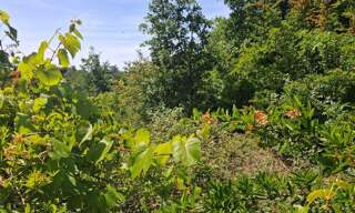 Terrain  1181 m² à vendre à Chenonceaux (37150)