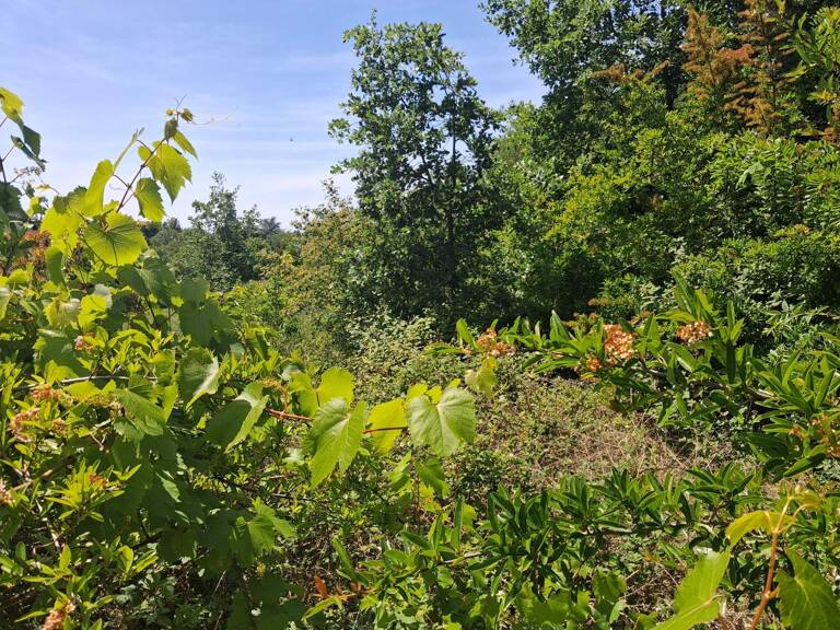 Terrain à construire  1181 m²  — photo 1