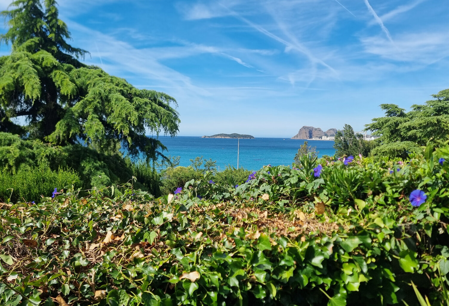 LA CIOTAT FONTSAINTE  T2 Vue Mer  avec jardin privatif - Cou — photo 1