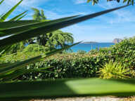 LA CIOTAT FONTSAINTE  T2 Vue Mer  avec jardin privatif - Cou — photo 3