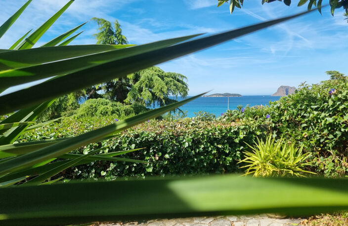 LA CIOTAT FONTSAINTE  T2 Vue Mer  avec jardin privatif - Cou — photo 3