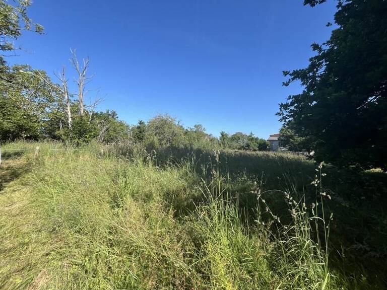 Terrain à bâtir de 0 pièces principales — photo 1