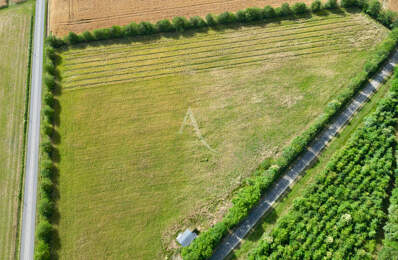 Terrain de 22 350m² — photo du bien