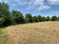 Terrain de 22 350m² — photo 3