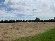 Terrain de 22 350m² — photo 4