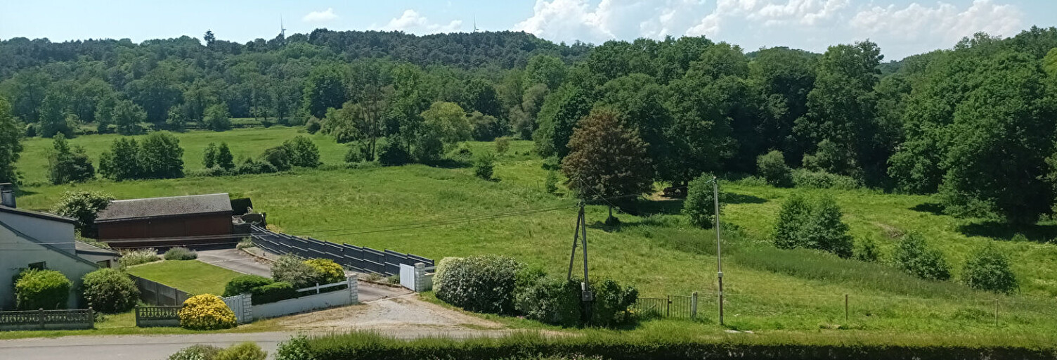 Photo N° 2