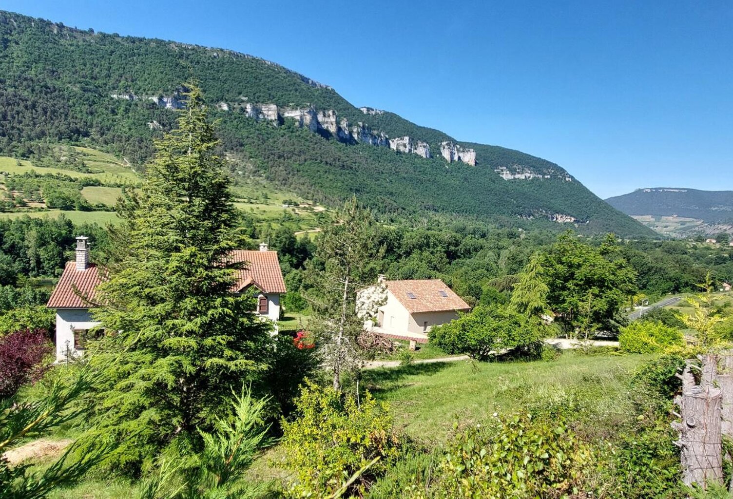 -A VENDRE-MOSTUEJOULS Terrain de 1020m2-65000€ — photo 1