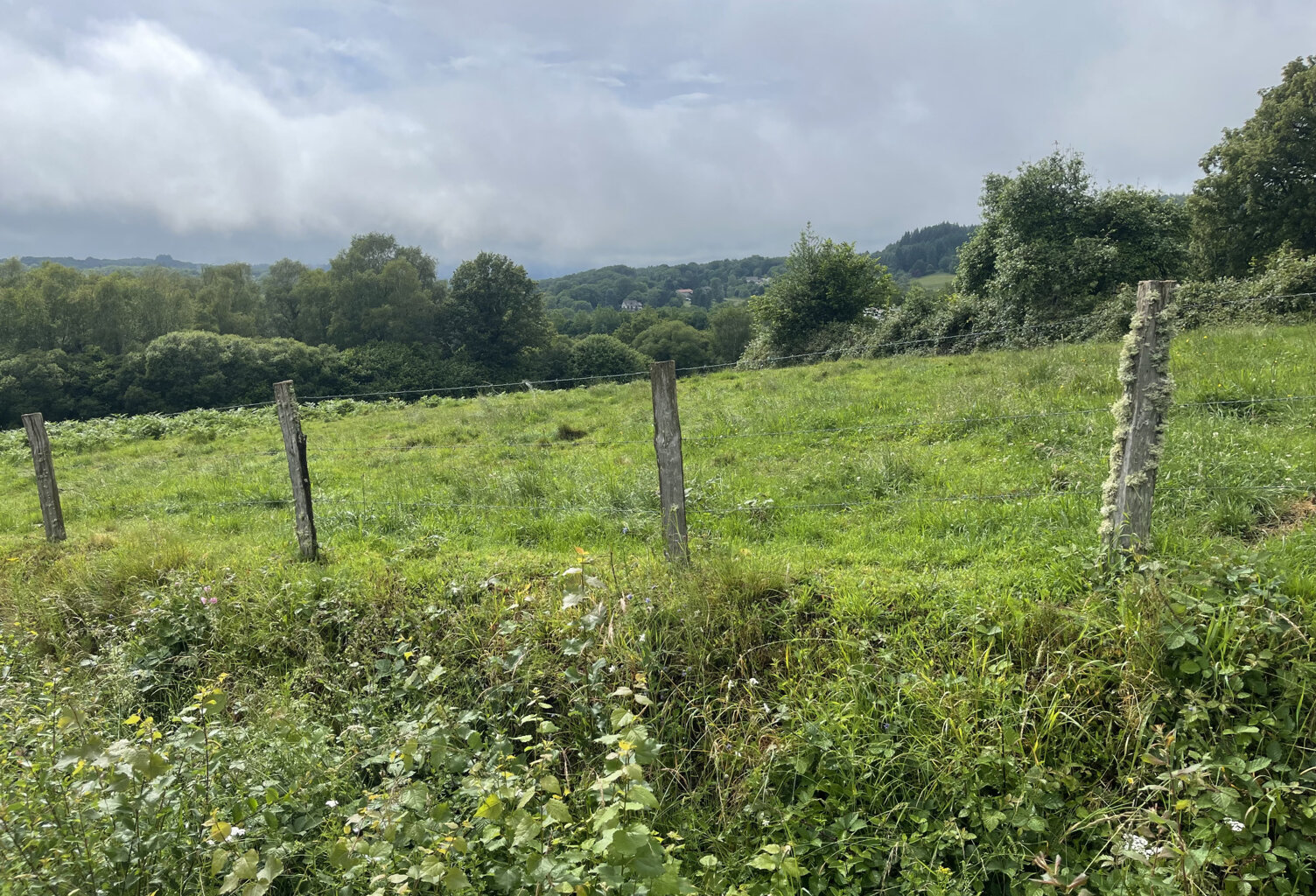 Razès terrain constructible 15 000 m2 — photo 1