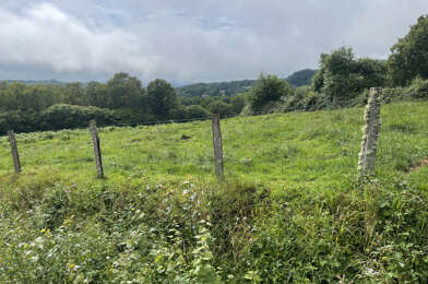 Terrain  80000 €