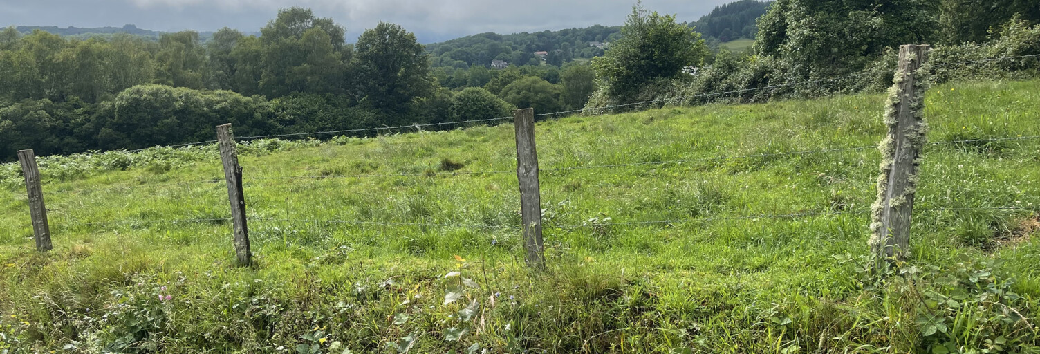 Terrain  15636 m² à vendre à Razès (87640)