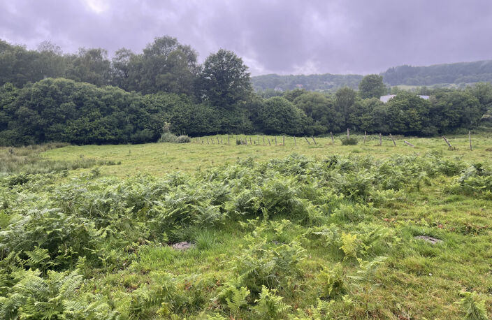 Razès terrain constructible 15 000 m2 — photo 2