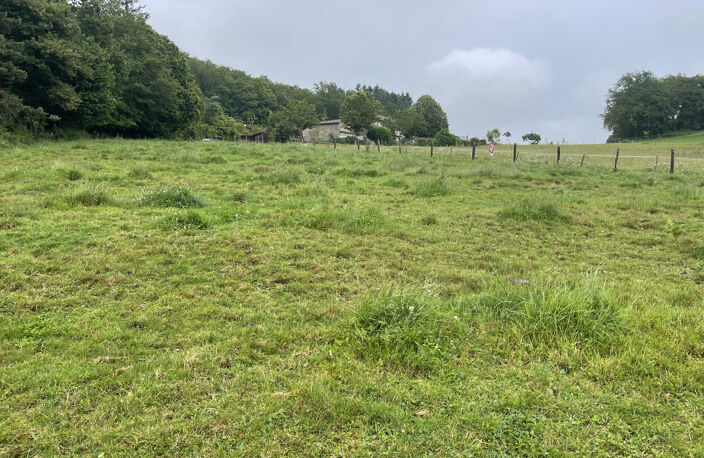 Razès terrain constructible 15 000 m2 — photo 3