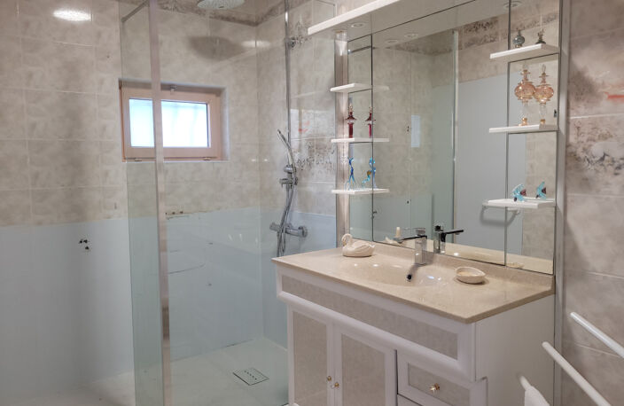 Maison SAINT DIDIER SOUS RIVERIE 210 m2 — photo 4