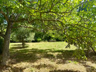 13190 Allauch Enco de Botte. Propriété d'exception avec pisc — photo 3