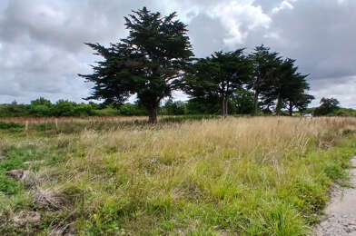 Terrain  178500 €