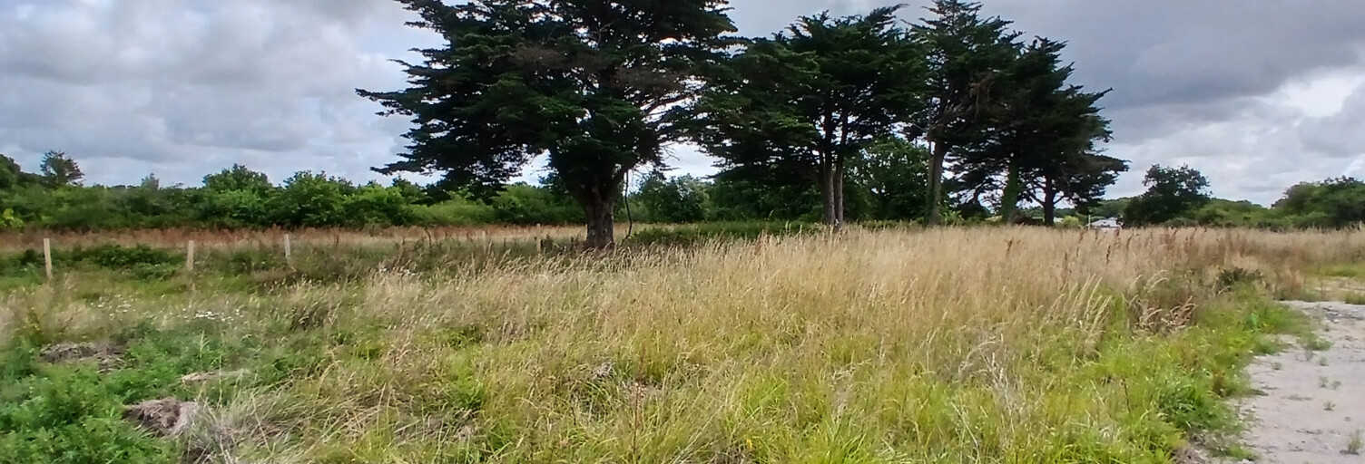 Terrain  459 m² à vendre à La Baule-Escoublac (44500)