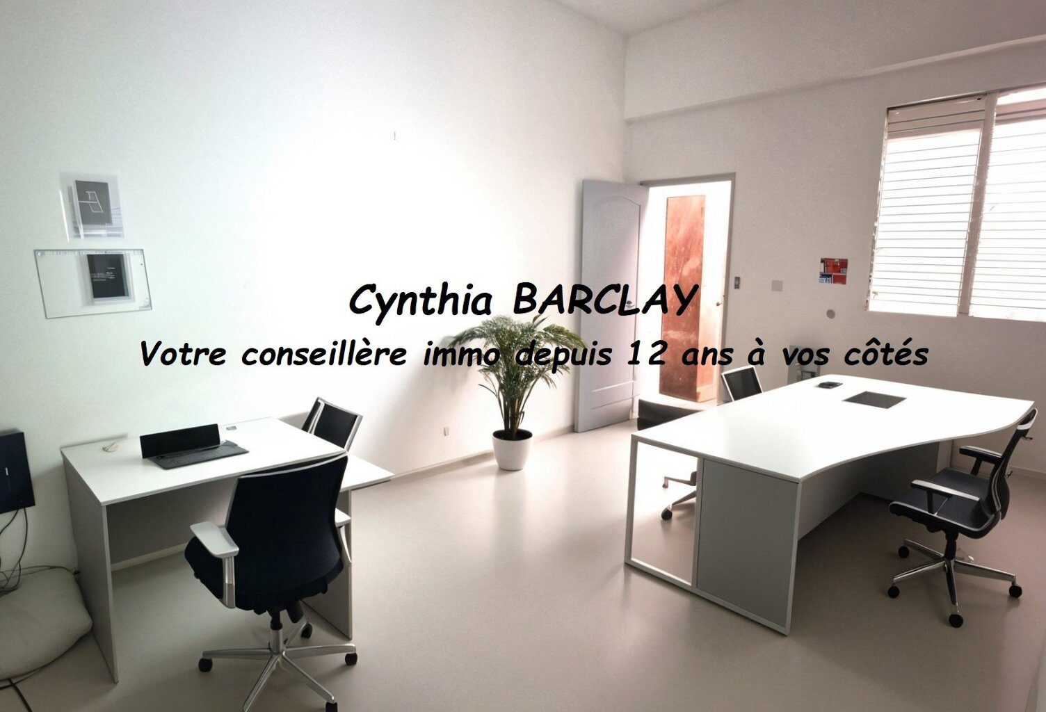 Local commercial — photo 1