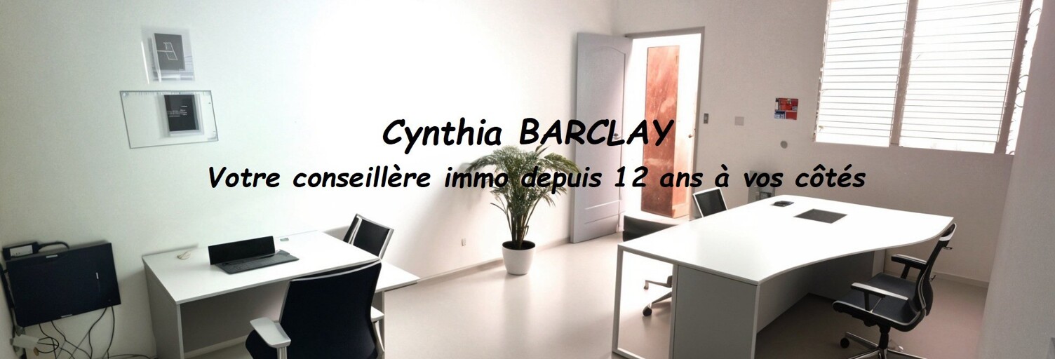 Commerce 2 Pièces 38 m² à vendre à Le Morne-Rouge (97260)