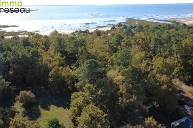 Terrain  375000 €