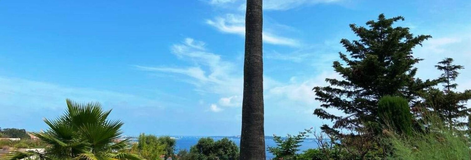 Appartement 2 Pièces 23 m² à vendre à Cannes (06400)
