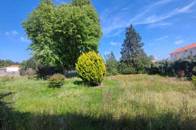 Terrain  244900 €