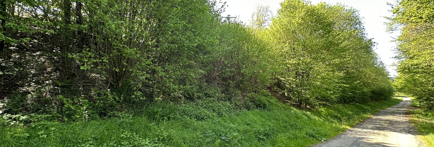 Terrain  5385 m² à vendre à Bourg-Bruche (67420)