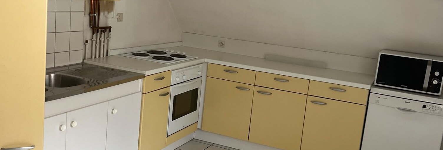 Appartement 3 Pièces 54 m² à vendre à Mulhouse (68100)