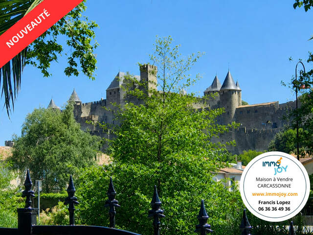 Maison d'hôtes à vendre à Carcassonne — photo du bien