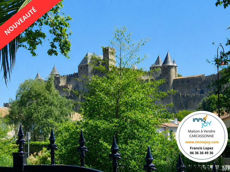 Maison d'hôtes à vendre à Carcassonne — photo 1
